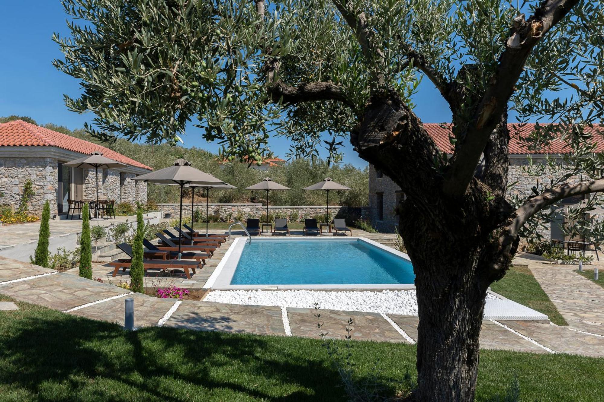 Lichnos Luxury Suites Sourpi Extérieur photo